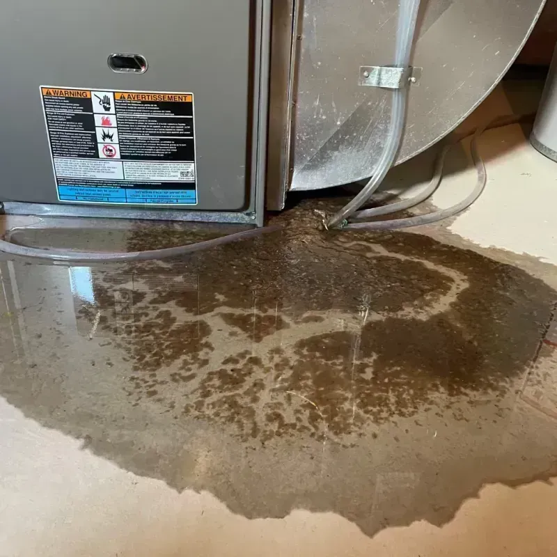 Appliance Leak Cleanup in Ahtanum, WA